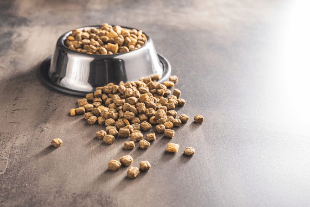 A stainless steel dog bowl filled to the brim with Rachael Ray Nutrish Zero Grain dog food sits on a textured surface. Scattered kibbles lie around the bowl, suggesting a recent feeding.