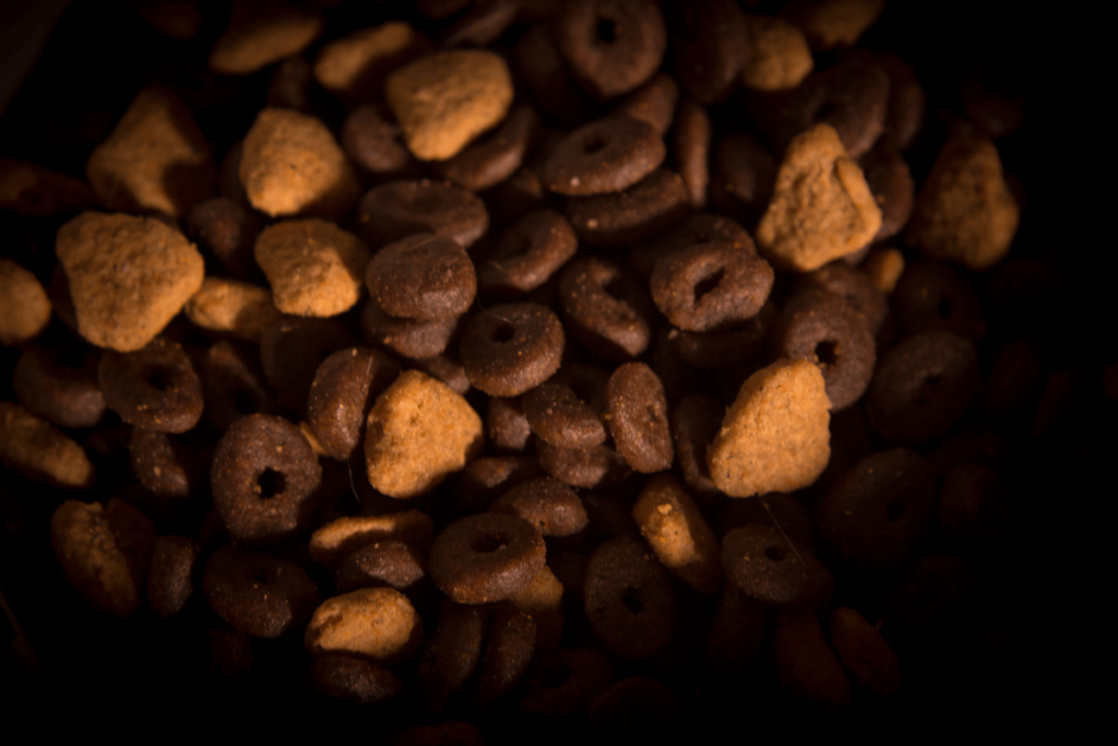 A close-up shot of assorted shapes and colors of dry dog food kibble in dim lighting, highlighting the texture and variety.